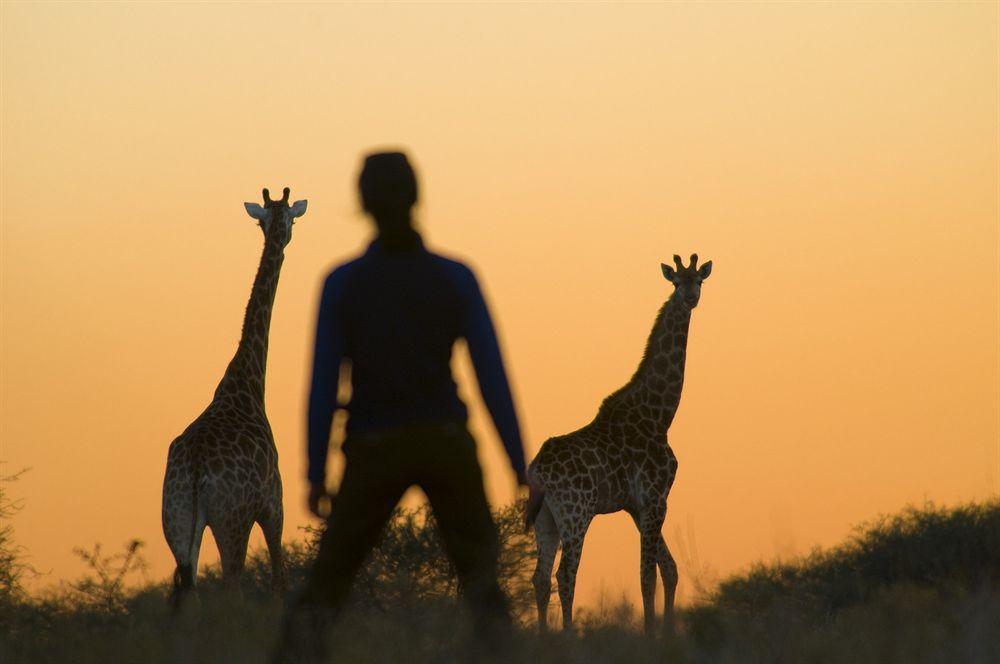Kubu Safari Lodge Hoedspruit Eksteriør billede