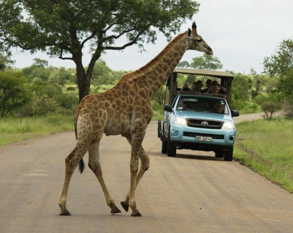 Kubu Safari Lodge Hoedspruit Eksteriør billede